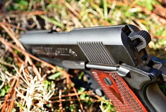 Gun Review: Colt New Agent - The Truth About Guns