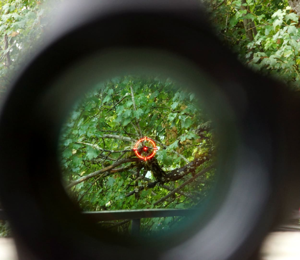 Gear Review: Holosun HS503C Circle Dot Sight - The Truth About Guns