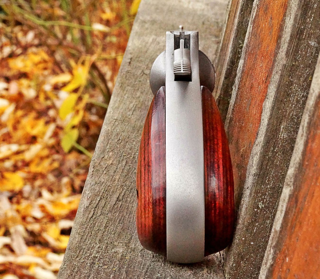 NAA_Sidewinder_sights