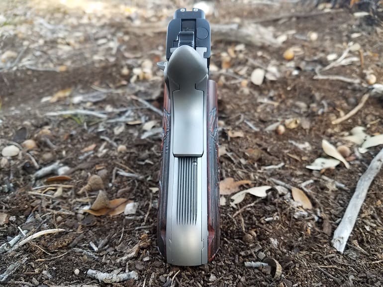 Kimber Camp Guard rear (photo courtesy of JWT for thetruthaboutguns.com)
