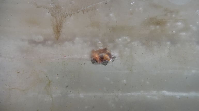 Ammo Review: SIG SAUER 9mm 115gr 365 JHP Personal Defense Ammunition