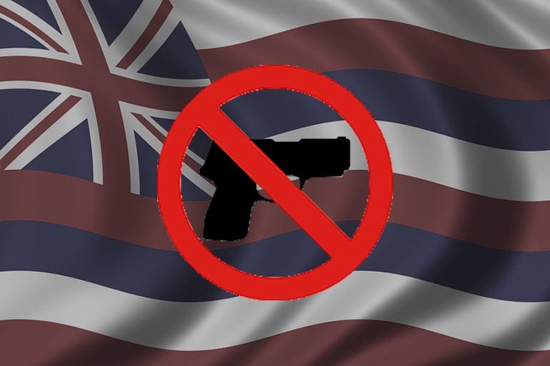 Hawaii red flag second amendment gun control