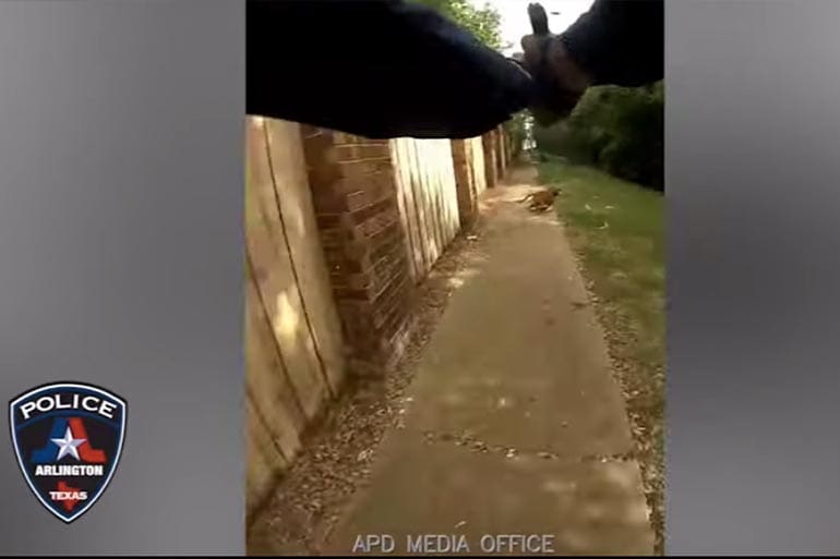 Arlington Cop Shoots Dog Kills Owner