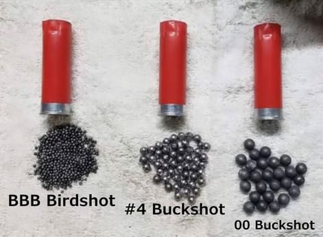 shotgun shell shot size