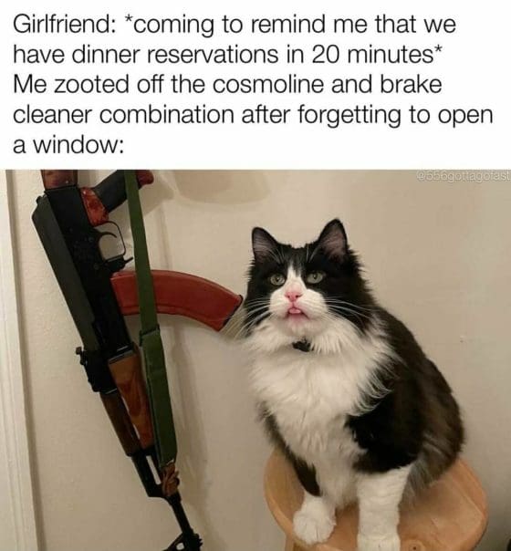 Gun Meme of the Day: That’s One High Cat Edition