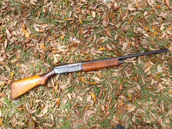 Obscure Object of Desire: Winchester Model 1911 SL Shotgun
