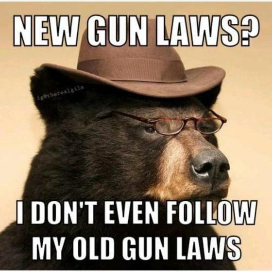 Gun Meme of the Day: The Right to Arm Bears Edition