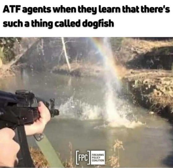 Gun Meme of the Day: Dogfish Edition