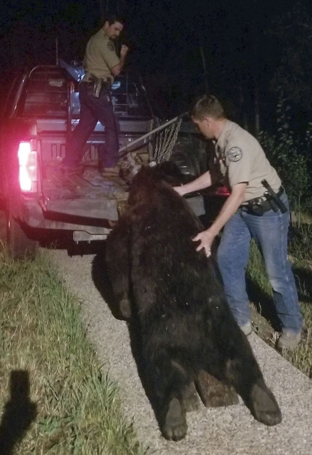 Home Invasion Colorado Man Emptied a .40 Caliber Pistol Into a 400 lb