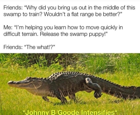 Gun Meme of the Day: Swamp Puppy Edition
