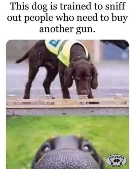 Gun Meme of the Day: Service Dog Edition