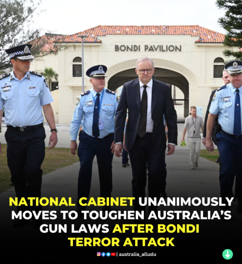 National Cabinet meeting discussing Australia firearm regulations