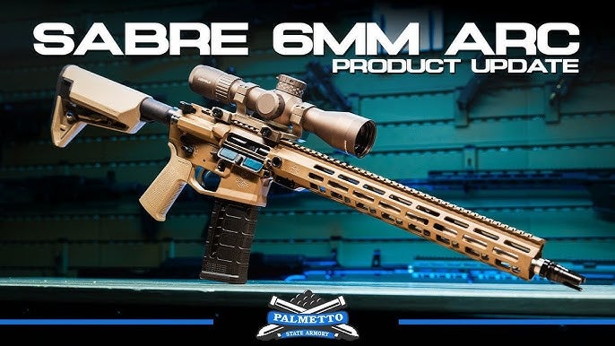 Palmetto State Armory 6 ARC Sabre rifle