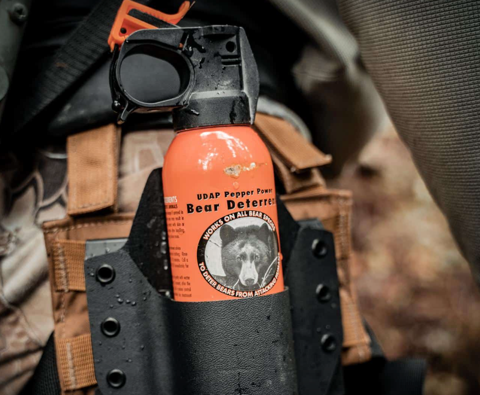 Handgun and bear spray for defense against bears in the backcountry